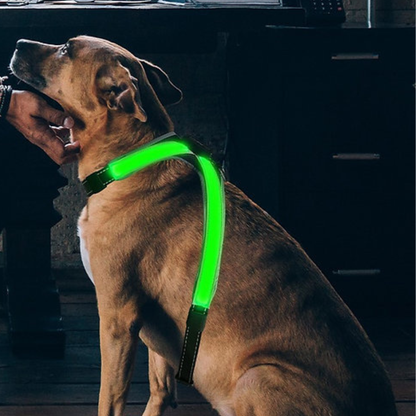 Color Changing Dog Harness