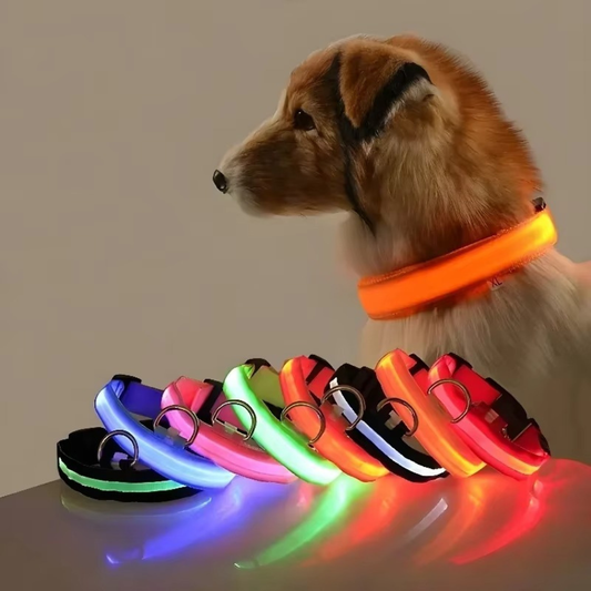 Light Up Night-Safety Dog Collar