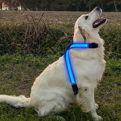 Color Changing Dog Harness