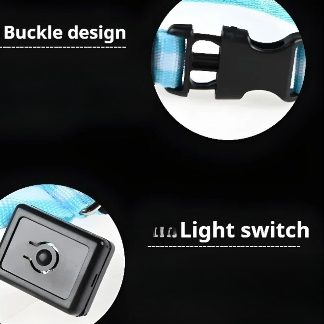Light Up Night-Safety Dog Collar