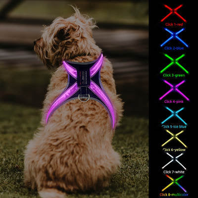 Color Changing Dog Harness