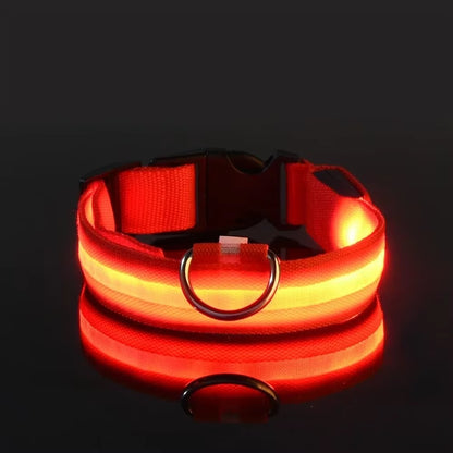 Light Up Night-Safety Dog Collar