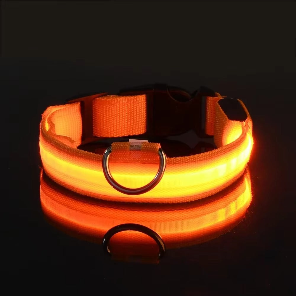 Light Up Night-Safety Dog Collar