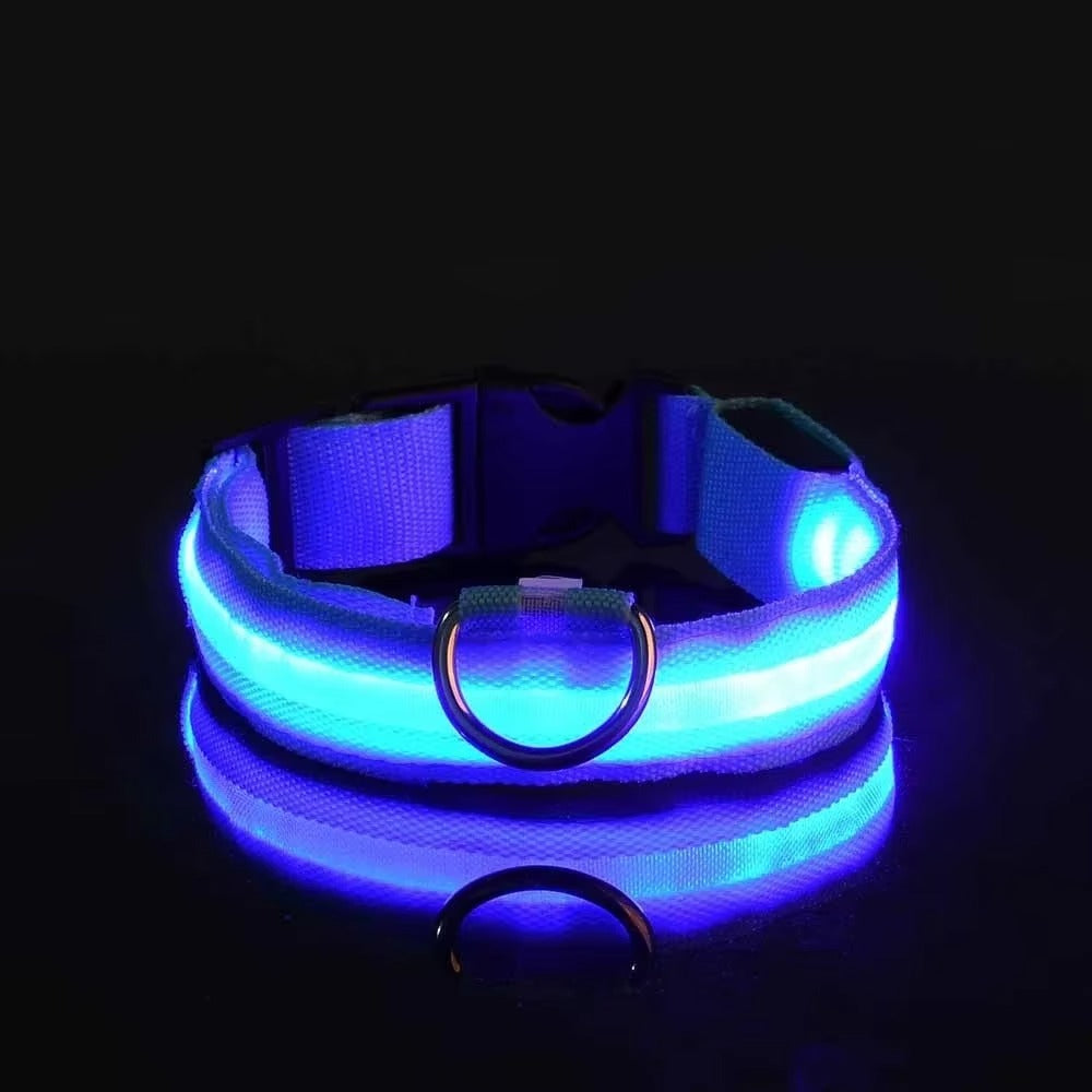 Light Up Night-Safety Dog Collar