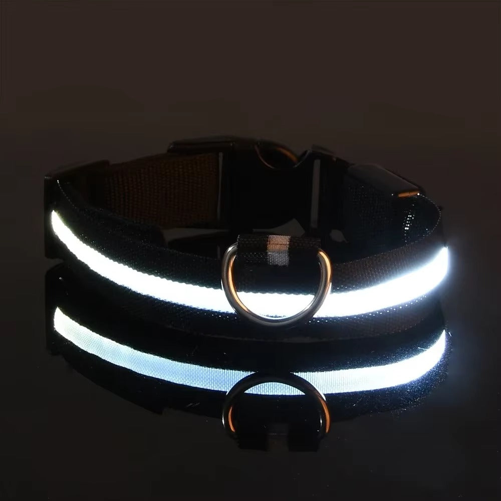 Light Up Night-Safety Dog Collar