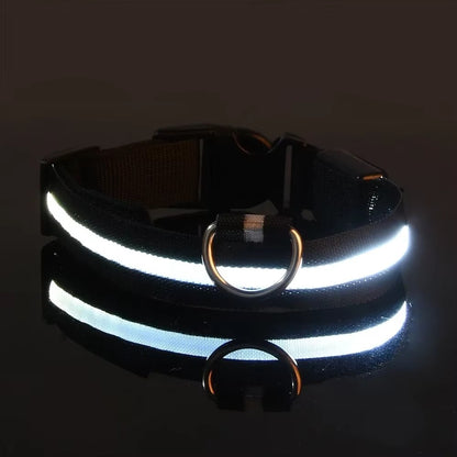 Light Up Night-Safety Dog Collar