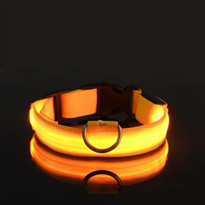 Light Up Night-Safety Dog Collar