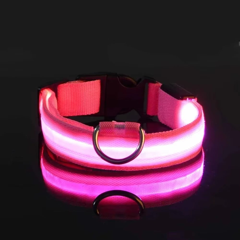 Light Up Night-Safety Dog Collar