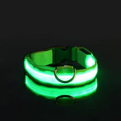 Light Up Night-Safety Dog Collar